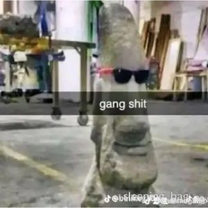 Meet your Posher, Jairo